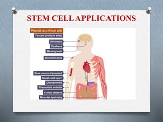STEM CELLAPPLICATIONS
 