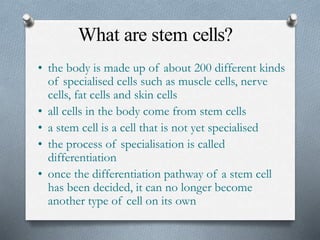 What are stem cells?
• the body is made up of about 200 different kinds
of specialised cells such as muscle cells, nerve
cells, fat cells and skin cells
• all cells in the body come from stem cells
• a stem cell is a cell that is not yet specialised
• the process of specialisation is called
differentiation
• once the differentiation pathway of a stem cell
has been decided, it can no longer become
another type of cell on its own
 