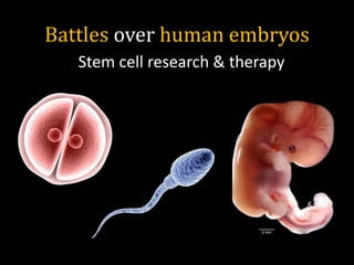Battles over human embryos
Stem cell research & therapy
 