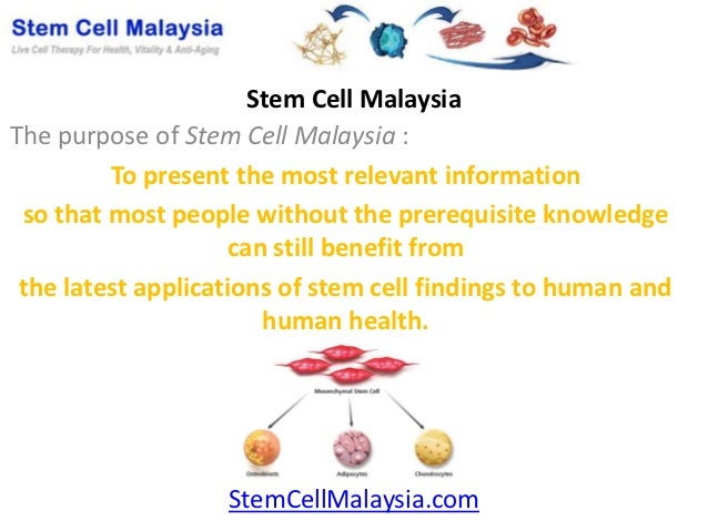 stem cell malaysia stem cell malaysia
