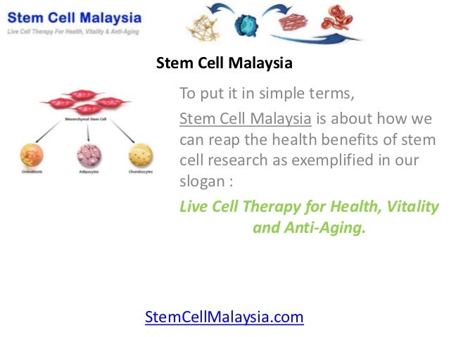 stem cell malaysia stem cell malaysia