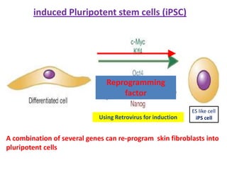 Journey to iPS Cell our future | PPTX