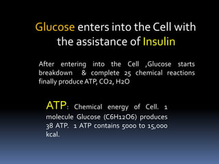 Glucose enters into the Cell with
the assistance of Insulin
After entering into the Cell ,Glucose starts
breakdown & complete 25 chemical reactions
finally produceATP, CO2, H2O
ATP: Chemical energy of Cell. 1
molecule Glucose (C6H12O6) produces
38 ATP. 1 ATP contains 5000 to 15,000
kcal.
 