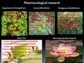 Pharmacological research
Gynotemma Pentaphllum
Antioxidant
Adaptogen
Blood pressure
Cardiovascular functions
Cholesterol reduction
Diabetes
Hepatoprotection
Cassia Obtusifolia
Cassia seed helps improve
vision, removes intensive
heat from the liver and
provides nourishment to
large intestine and also
smoothes the bowel
movement.
Polygonum Multiflorum
The Chinese people use
the root of the plant for
medicinal purposes such
as promoting fertility,
restoring hair color and
preventing aging effects.
1. GreenTea ContainsVarious Bioactive
CompoundsThat Can Improve Health
GreenTea
2. GreenTea Increases Fat Burning and
Improves Physical Performance
3. Antioxidants in GreenTea May LowerYour
Risk ofVariousTypes of Cancer
4. GreenTea May LowerYour Risk ofType II
Diabetes
Nelumbo Nucifera Gaertn
Studies using in vitro and in vivo models
have demonstrated that this plant has
antidiabetic, antipyretic, anti-
inflammatory, anticancerous,
antimicrobial, antiviral and anti-obesity
properties (Kashiwada et al., 2005).
Furthermore, Nelumbo nucifera flowers are
served as healthy beverages to treat
hypertension, cancer, diarrhea, fever,
weakness.
 