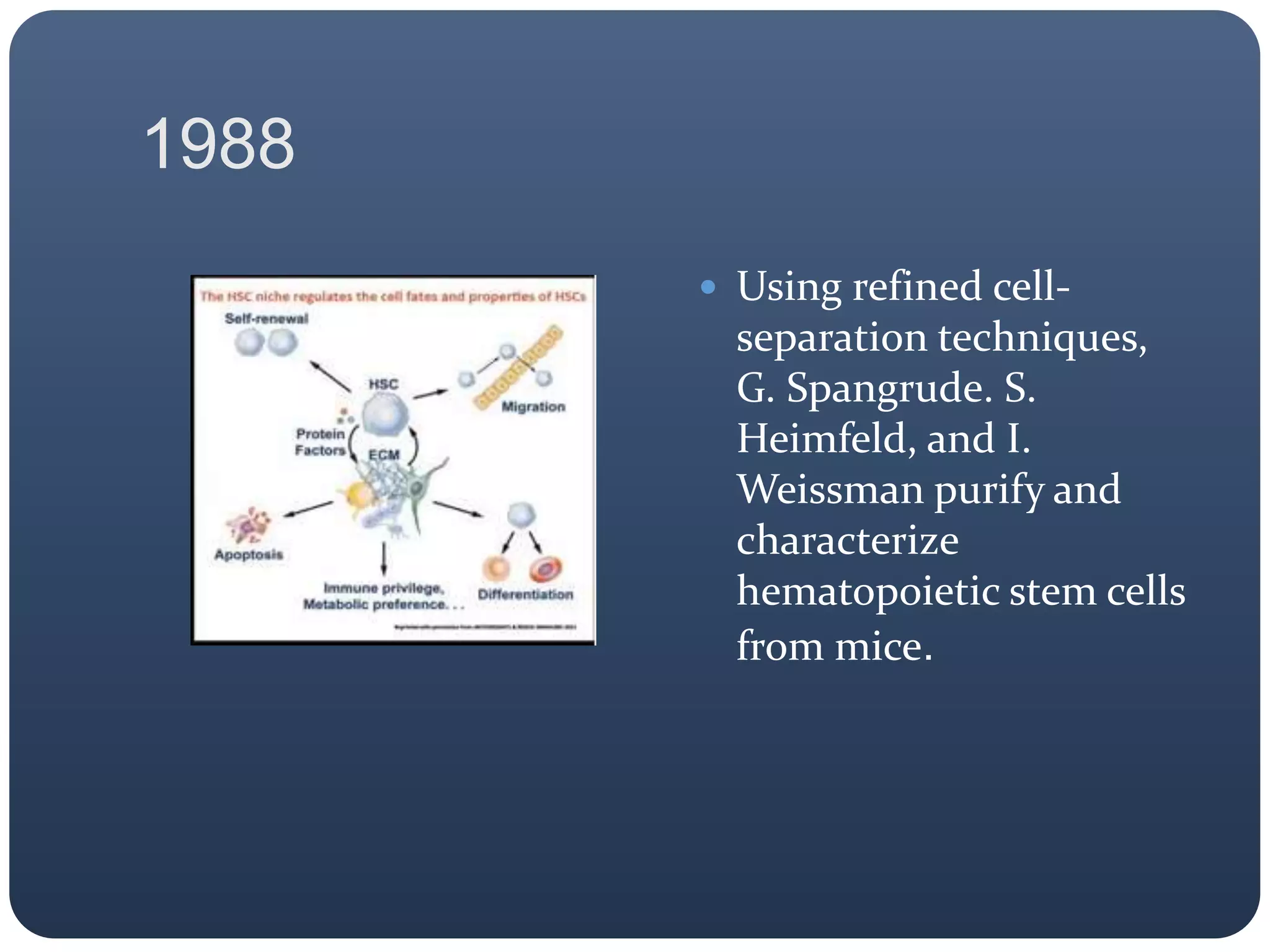 1988
 Using refined cell-
separation techniques,
G. Spangrude. S.
Heimfeld, and I.
Weissman purify and
characterize
hematopoietic stem cells
from mice.
 
