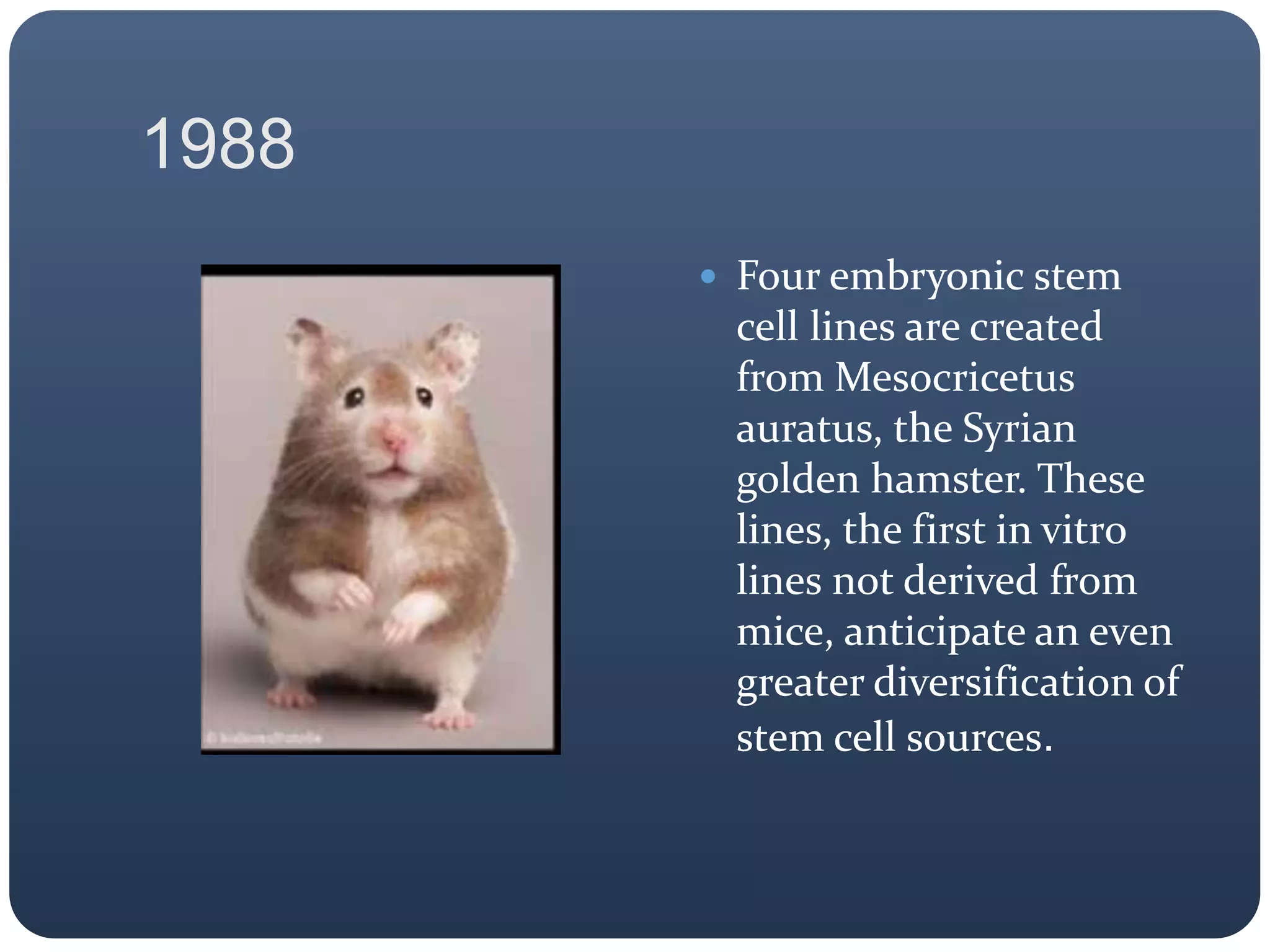 1988
 Four embryonic stem
cell lines are created
from Mesocricetus
auratus, the Syrian
golden hamster. These
lines, the first in vitro
lines not derived from
mice, anticipate an even
greater diversification of
stem cell sources.
 