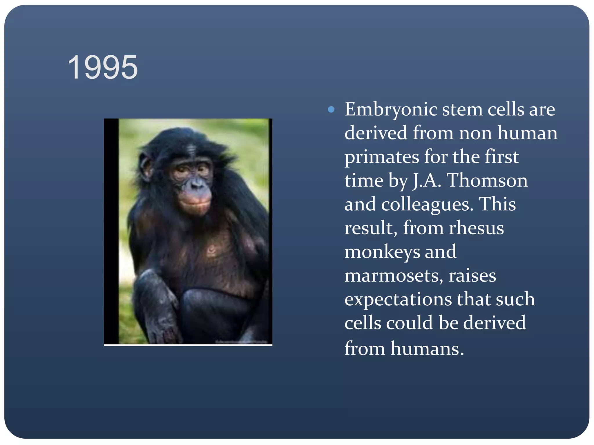 1995
 Embryonic stem cells are
derived from non human
primates for the first
time by J.A. Thomson
and colleagues. This
result, from rhesus
monkeys and
marmosets, raises
expectations that such
cells could be derived
from humans.
 