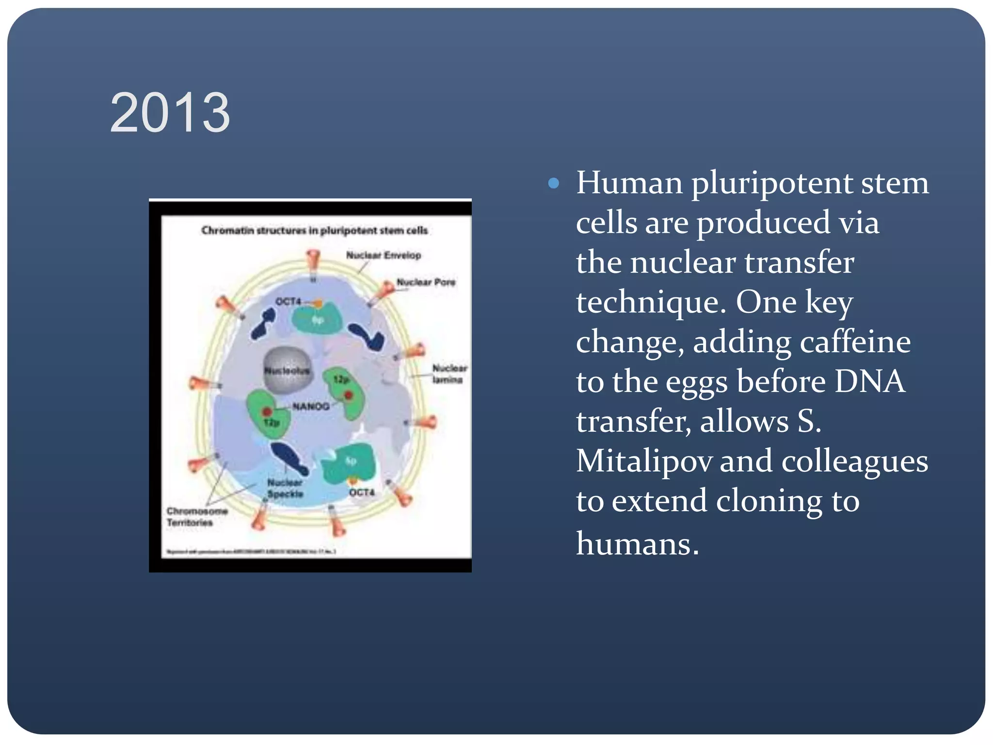 2013
 Human pluripotent stem
cells are produced via
the nuclear transfer
technique. One key
change, adding caffeine
to the eggs before DNA
transfer, allows S.
Mitalipov and colleagues
to extend cloning to
humans.
 