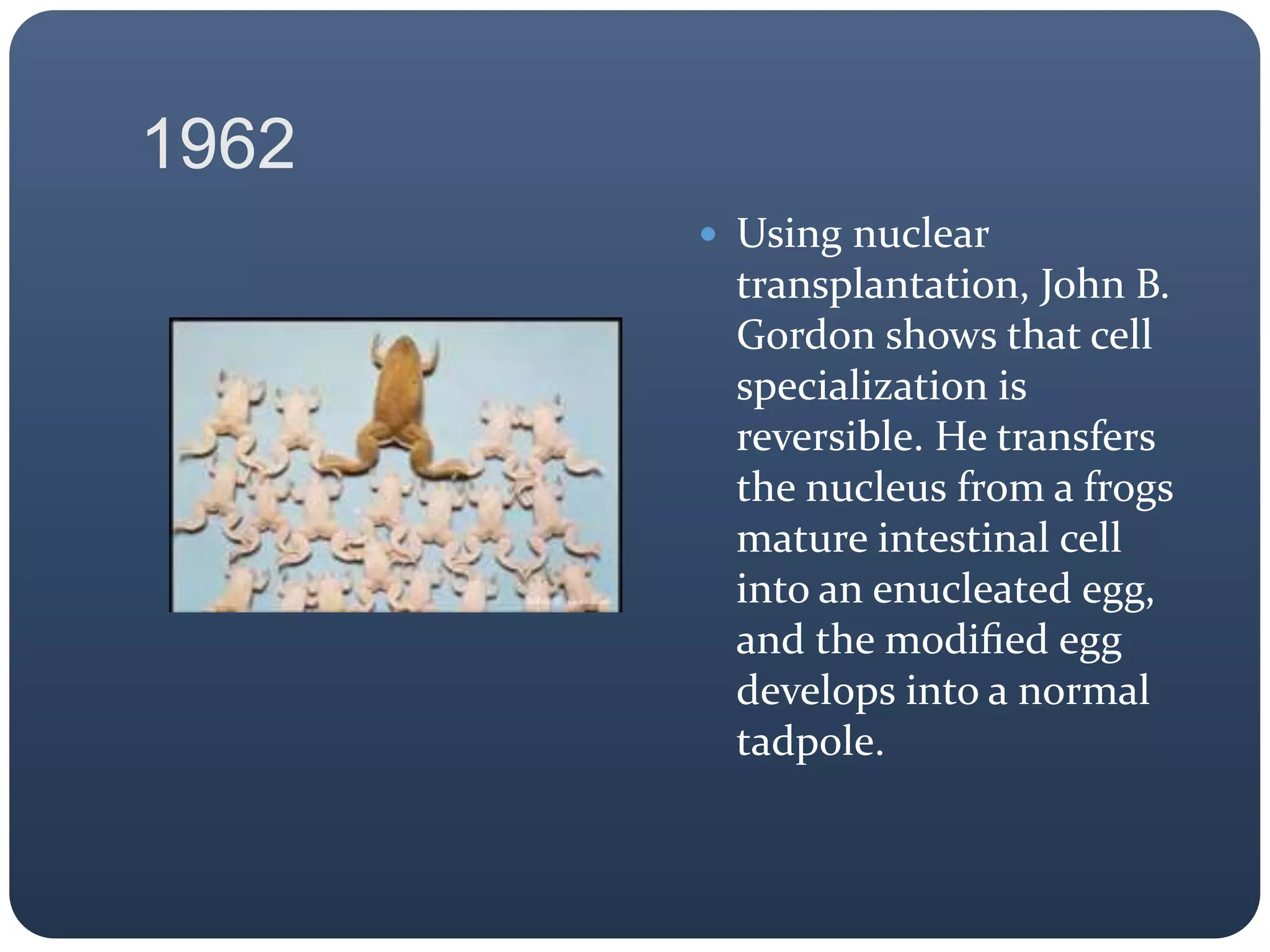 1962
 Using nuclear
transplantation, John B.
Gordon shows that cell
specialization is
reversible. He transfers
the nucleus from a frogs
mature intestinal cell
into an enucleated egg,
and the modiﬁed egg
develops into a normal
tadpole.
 