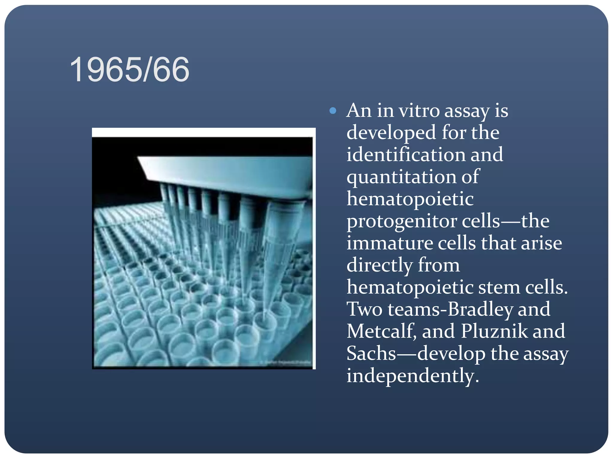 1965/66
 An in vitro assay is
developed for the
identification and
quantitation of
hematopoietic
protogenitor cells—the
immature cells that arise
directly from
hematopoietic stem cells.
Two teams-Bradley and
Metcalf, and Pluznik and
Sachs—develop the assay
independently.
 