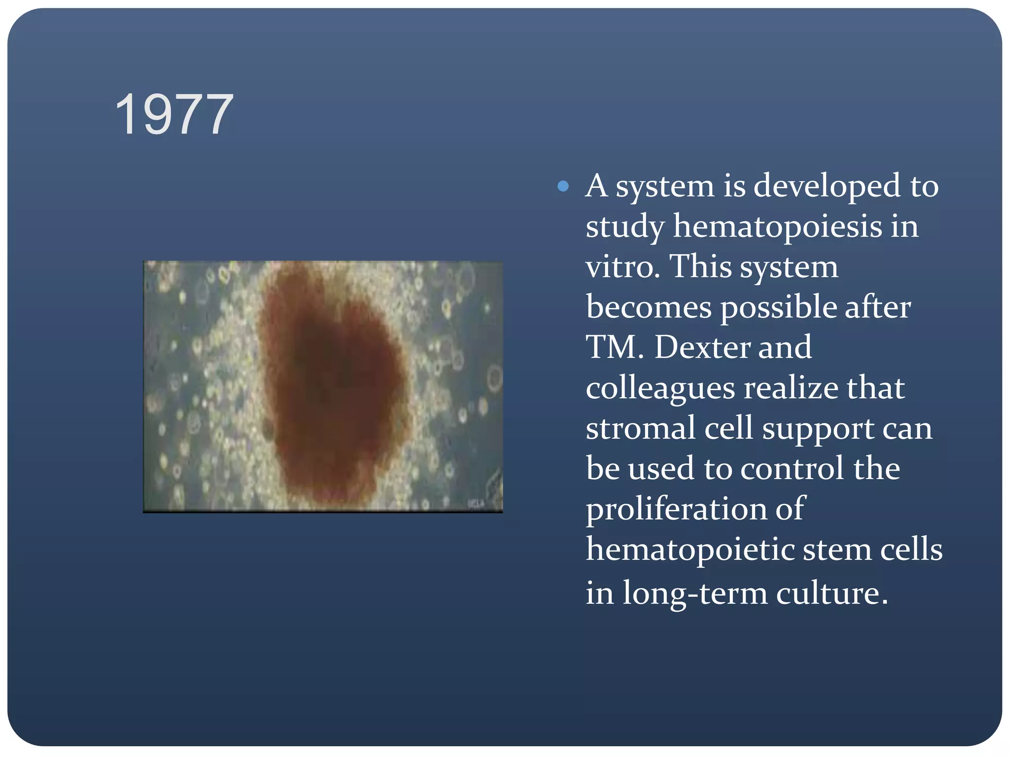 1977
 A system is developed to
study hematopoiesis in
vitro. This system
becomes possible after
TM. Dexter and
colleagues realize that
stromal cell support can
be used to control the
proliferation of
hematopoietic stem cells
in long-term culture.
 