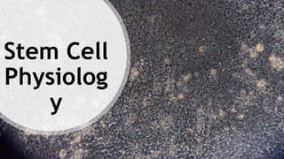 Stem Cell
Physiolog
y
 