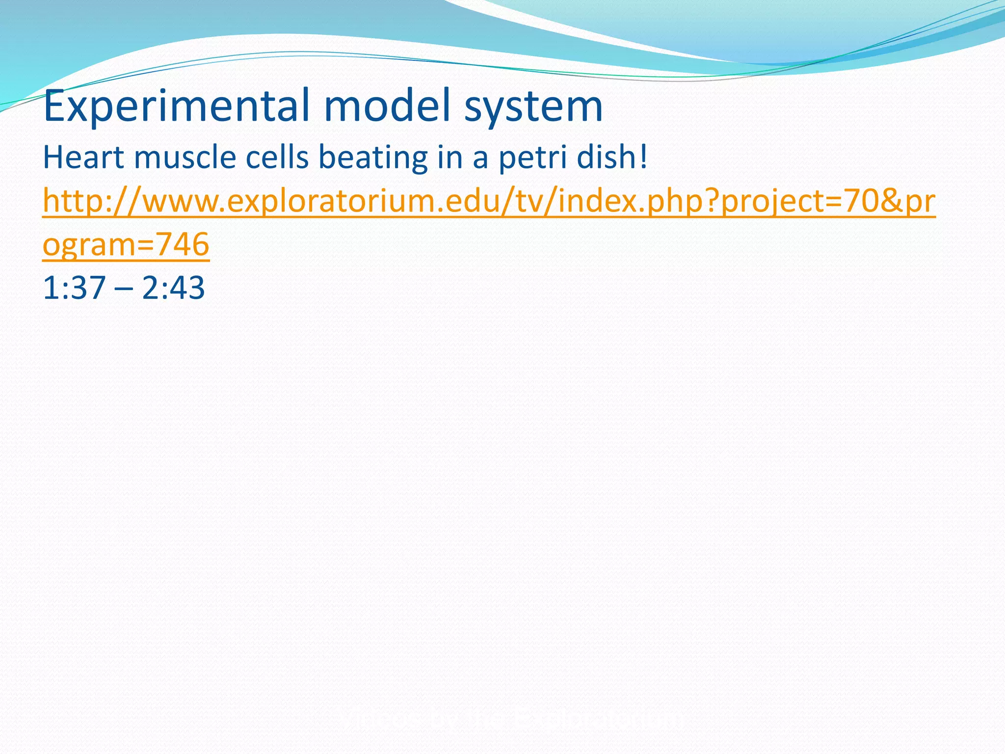 Experimental model system
Heart muscle cells beating in a petri dish!
http://www.exploratorium.edu/tv/index.php?project=70&pr
ogram=746
1:37 – 2:43
Videos by the Exploratorium
 