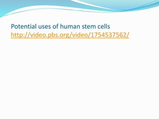 Potential uses of human stem cells
http://video.pbs.org/video/1754537562/
 