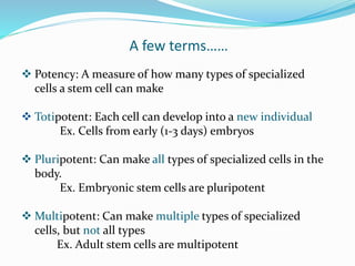 A few terms……
 Potency: A measure of how many types of specialized
cells a stem cell can make
 Totipotent: Each cell can develop into a new individual
Ex. Cells from early (1-3 days) embryos
 Pluripotent: Can make all types of specialized cells in the
body.
Ex. Embryonic stem cells are pluripotent
 Multipotent: Can make multiple types of specialized
cells, but not all types
Ex. Adult stem cells are multipotent
 