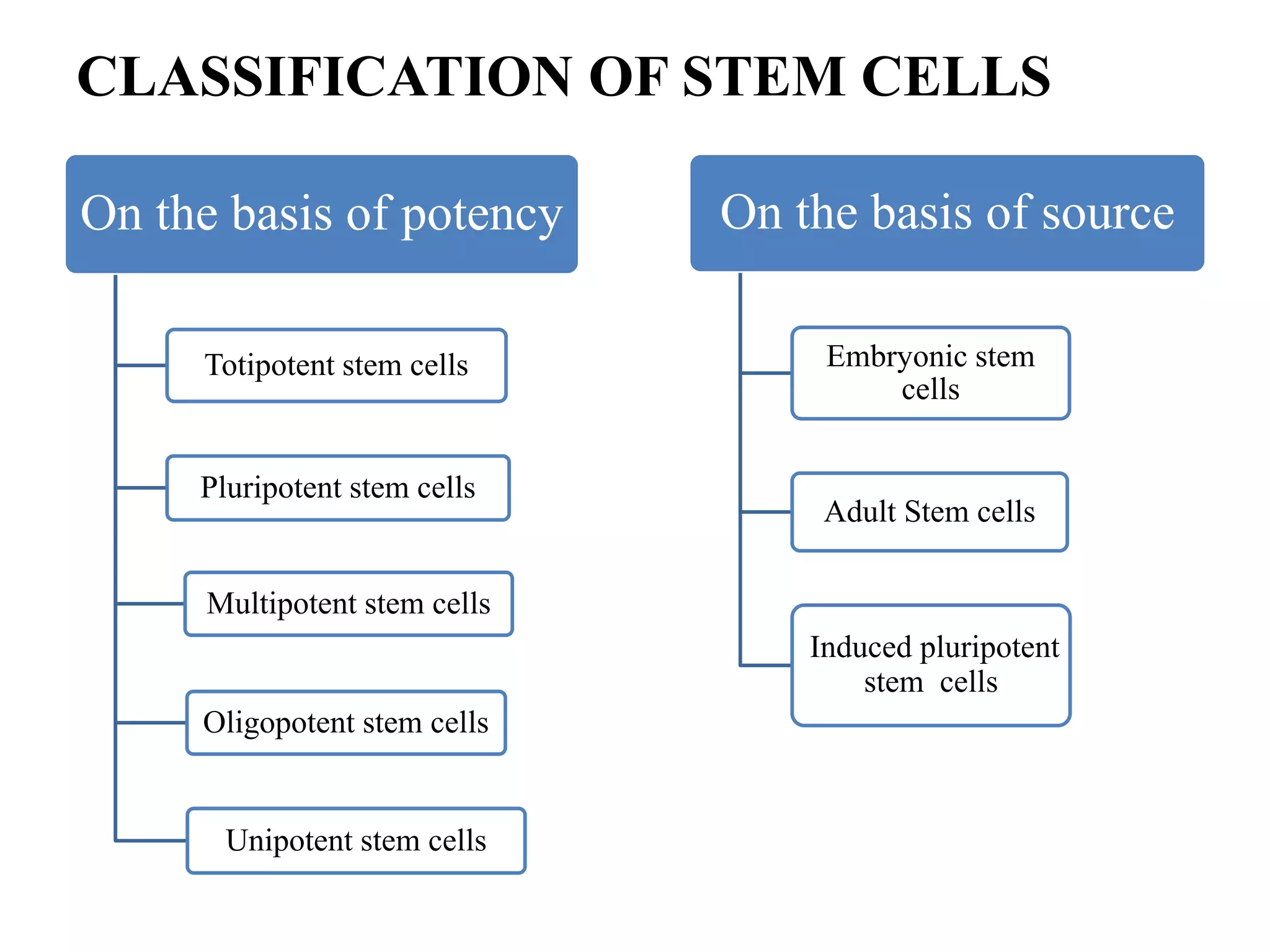 CLASSIFICATION OF STEM CELLS
On the basis of potency
Totipotent stem cells
Pluripotent stem cells
Multipotent stem cells
Oligopotent stem cells
Unipotent stem cells
On the basis of source
Embryonic stem
cells
Adult Stem cells
Induced pluripotent
stem cells
 