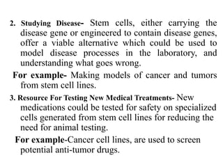 2. Studying Disease- Stem cells, either carrying the
disease gene or engineered to contain disease genes,
offer a viable alternative which could be used to
model disease processes in the laboratory, and
understanding what goes wrong.
For example- Making models of cancer and tumors
from stem cell lines.
3. Resource For Testing New Medical Treatments- New
medications could be tested for safety on specialized
cells generated from stem cell lines for reducing the
need for animal testing.
For example-Cancer cell lines, are used to screen
potential anti-tumor drugs.
 