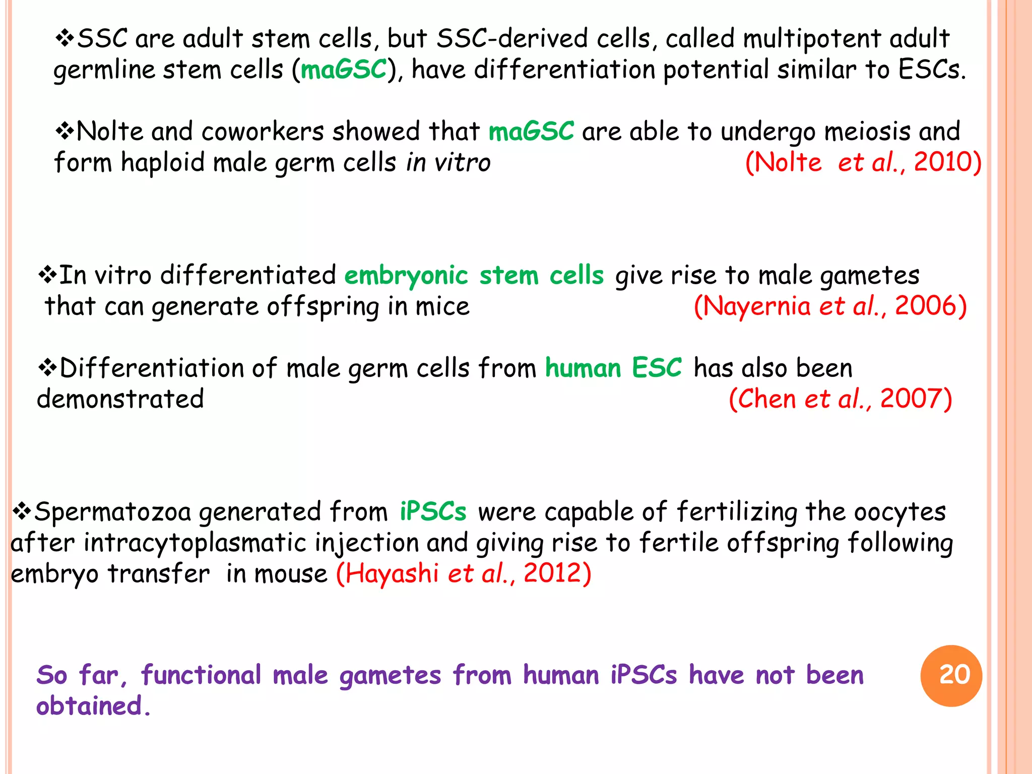 20
In vitro differentiated embryonic stem cells give rise to male gametes
that can generate offspring in mice (Nayernia et al., 2006)
Differentiation of male germ cells from human ESC has also been
demonstrated (Chen et al., 2007)
So far, functional male gametes from human iPSCs have not been
obtained.
Spermatozoa generated from iPSCs were capable of fertilizing the oocytes
after intracytoplasmatic injection and giving rise to fertile offspring following
embryo transfer in mouse (Hayashi et al., 2012)
SSC are adult stem cells, but SSC-derived cells, called multipotent adult
germline stem cells (maGSC), have differentiation potential similar to ESCs.
Nolte and coworkers showed that maGSC are able to undergo meiosis and
form haploid male germ cells in vitro (Nolte et al., 2010)
 