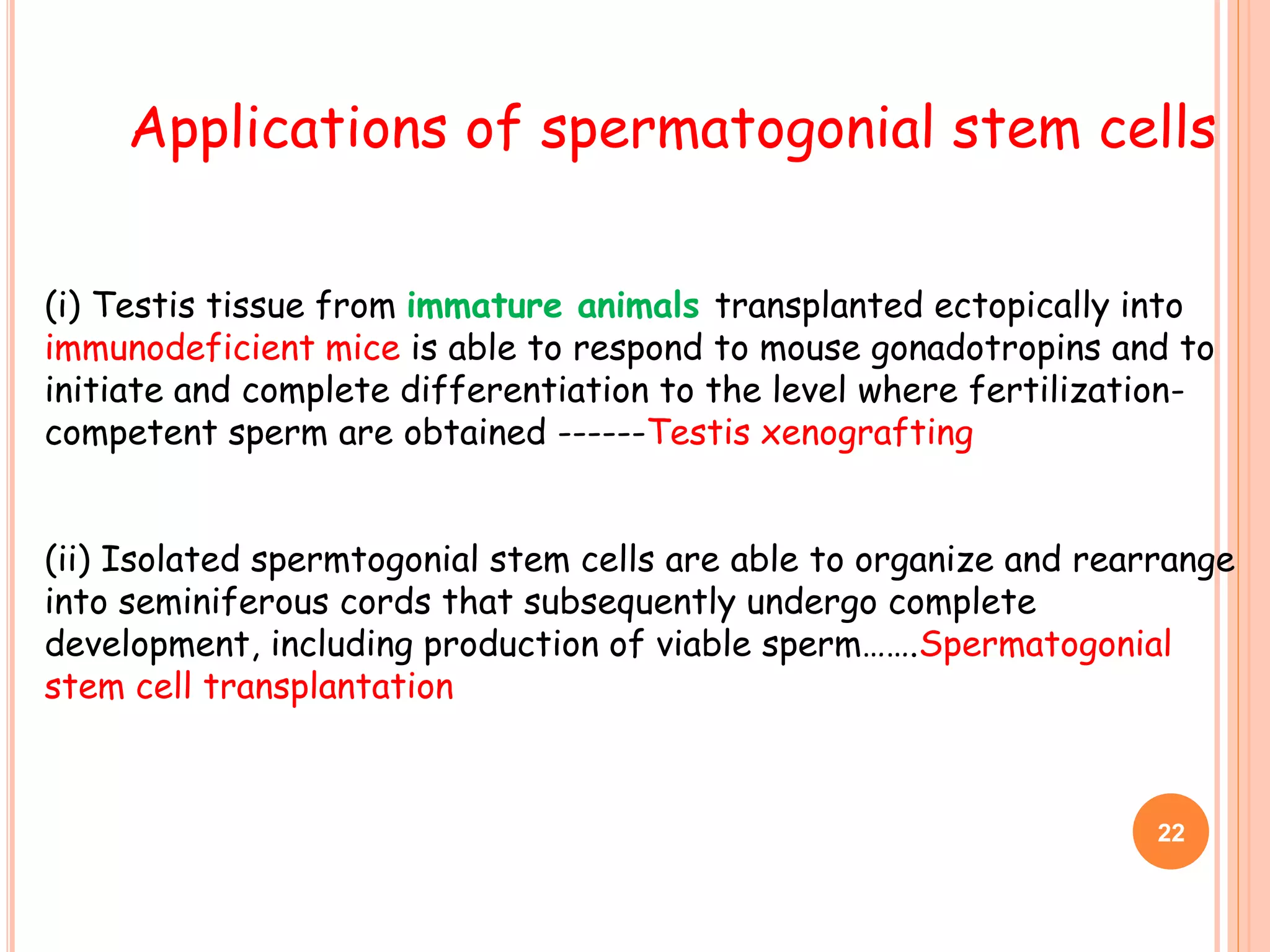 Applications of spermatogonial stem cells
(i) Testis tissue from immature animals transplanted ectopically into
immunodeficient mice is able to respond to mouse gonadotropins and to
initiate and complete differentiation to the level where fertilization-
competent sperm are obtained ------Testis xenografting
(ii) Isolated spermtogonial stem cells are able to organize and rearrange
into seminiferous cords that subsequently undergo complete
development, including production of viable sperm…….Spermatogonial
stem cell transplantation
22
 