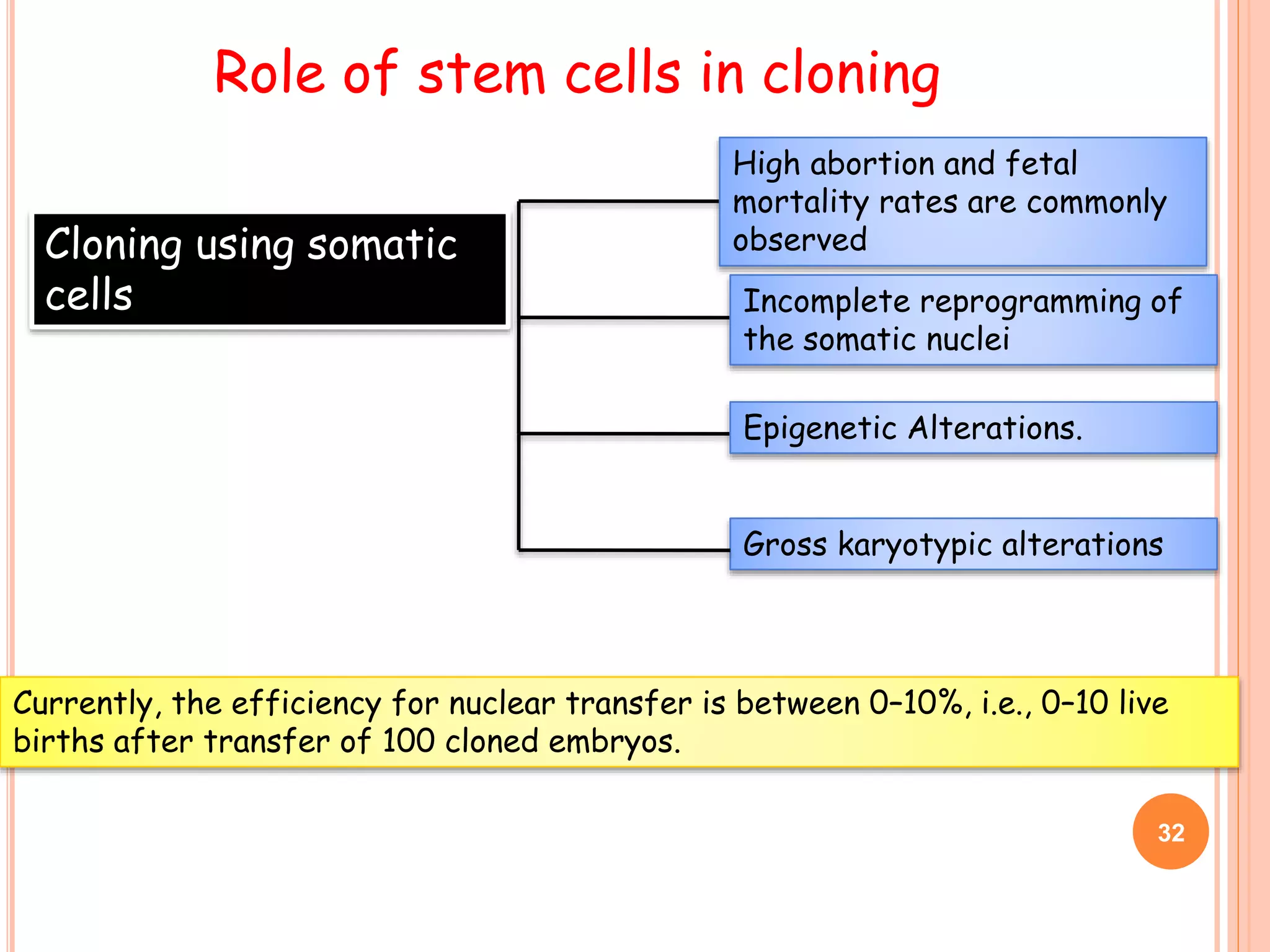 Role of stem cells in cloning
Cloning using somatic
cells
High abortion and fetal
mortality rates are commonly
observed
Incomplete reprogramming of
the somatic nuclei
Currently, the efficiency for nuclear transfer is between 0–10%, i.e., 0–10 live
births after transfer of 100 cloned embryos.
Epigenetic Alterations.
Gross karyotypic alterations
32
 