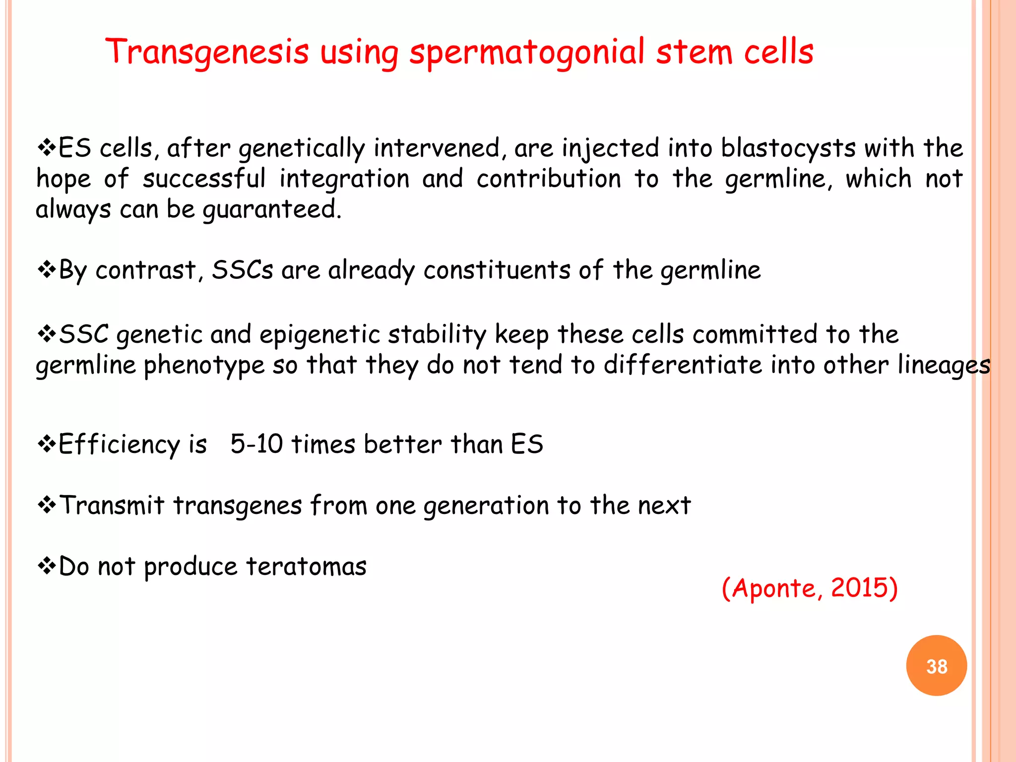 38
Transgenesis using spermatogonial stem cells
ES cells, after genetically intervened, are injected into blastocysts with the
hope of successful integration and contribution to the germline, which not
always can be guaranteed.
By contrast, SSCs are already constituents of the germline
SSC genetic and epigenetic stability keep these cells committed to the
germline phenotype so that they do not tend to differentiate into other lineages
Efficiency is 5-10 times better than ES
Transmit transgenes from one generation to the next
Do not produce teratomas
(Aponte, 2015)
 