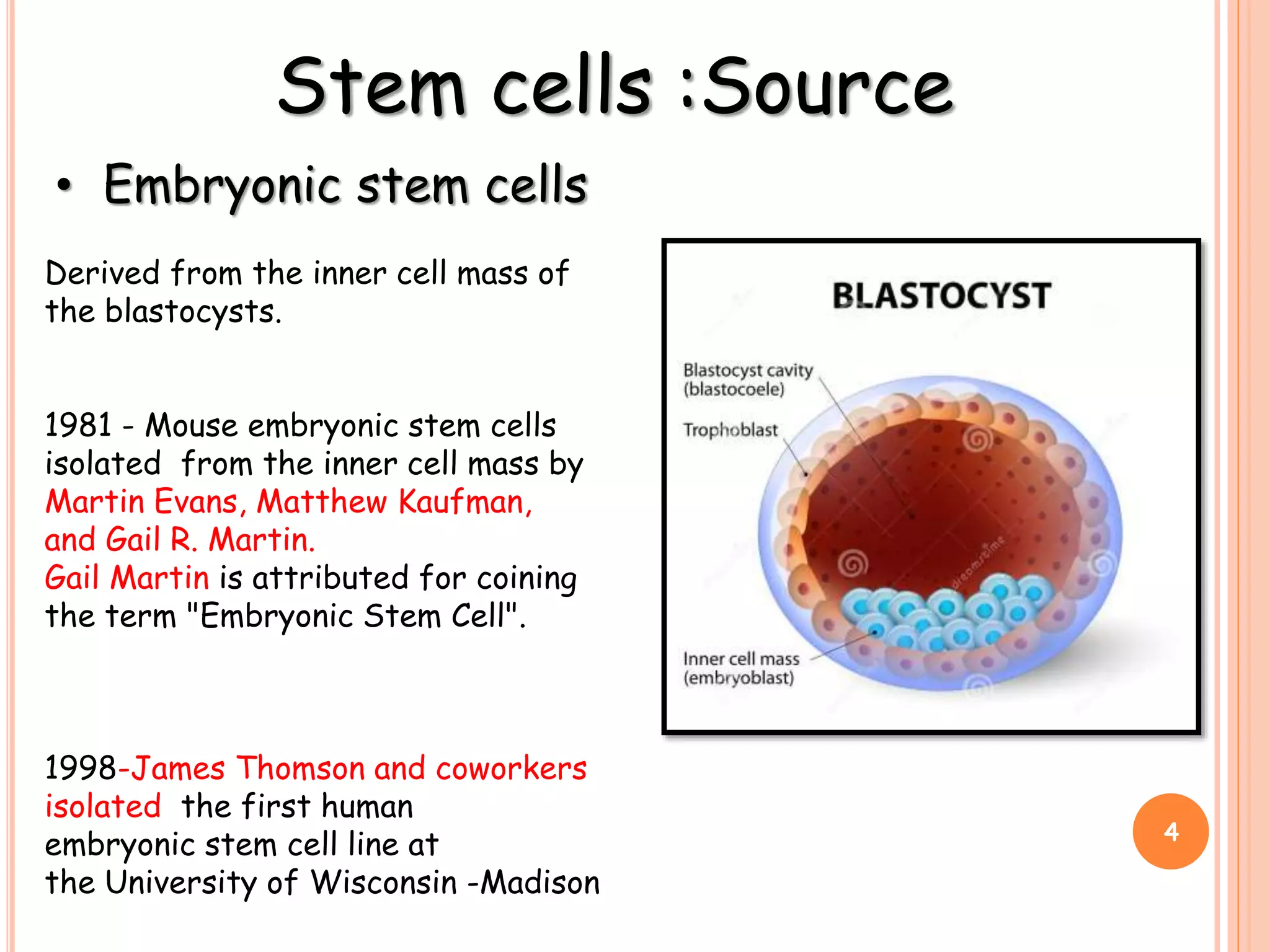Stem cells :Source
• Embryonic stem cells
Derived from the inner cell mass of
the blastocysts.
1981 - Mouse embryonic stem cells
isolated from the inner cell mass by
Martin Evans, Matthew Kaufman,
and Gail R. Martin.
Gail Martin is attributed for coining
the term "Embryonic Stem Cell".
1998-James Thomson and coworkers
isolated the first human
embryonic stem cell line at
the University of Wisconsin -Madison
4
 