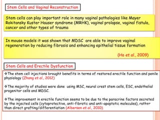 Stem cells can play important role in many vaginal pathologies like Mayer
Rokitansky Kuster Hauser syndrome (MRHK), vaginal prolapse, vaginal fistula,
cancer and other types of trauma
In mouse models it was shown that MDSC are able to improve vaginal
regeneration by reducing fibrosis and enhancing epithelial tissue formation
(Ho et al., 2009)
The stem cell injections brought benefits in terms of restored erectile function and penile
physiology (Zhang et al., 2012)
The majority of studies were done using MSC, neural crest stem cells, ESC, endothelial
progenitor cells and MDSC.
The improvement in erectile function seems to be due to the paracrine factors secreted
by the injected cells (cytoprotective, anti-fibrotic and anti-apoptotic molecules), rather
than direct grafting/differentiation (Albersen et al., 2010).
Stem Cells and Vaginal Reconstruction
Stem Cells and Erectile Dysfunction
18
 