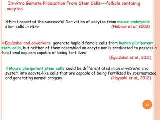 In-vitro Gamete Production From Stem Cells---follicle containig
oocytes
Eguizabal and coworkers generate haploid female cells from human pluripotent
stem cells, but neither of them resembled an oocyte nor is predicated to possess a
functional ooplasm capable of being fertilized
(Eguizabal et al., 2011)
Mouse pluripotent stem cells could be differentiated in an in-vitro/in vivo
system into oocyte-like cells that are capable of being fertilized by spermatozoa
and generating normal progeny (Hayashi et al., 2012)
21
First reported the successful Derivation of oocytes from mouse embryonic
stem cells in vitro (Hubner et al.,2003)
 