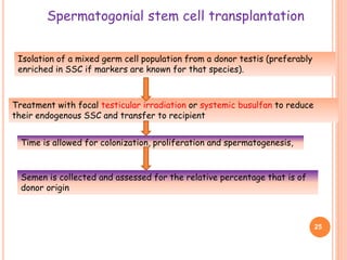 Spermatogonial stem cell transplantation
Isolation of a mixed germ cell population from a donor testis (preferably
enriched in SSC if markers are known for that species).
Treatment with focal testicular irradiation or systemic busulfan to reduce
their endogenous SSC and transfer to recipient
Time is allowed for colonization, proliferation and spermatogenesis,
Semen is collected and assessed for the relative percentage that is of
donor origin
25
 