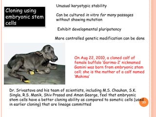 Cloning using
embryonic stem
cells
Unusual karyotypic stability
Can be cultured in vitro for many passages
without showing mutation
Exhibit developmental pluripotency
More controlled genetic modification can be done
On Aug 22, 2010, a cloned calf of
female buffalo ‘Garima-2’ nicknamed
Gamini was born from embryonic stem
cell; she is the mother of a calf named
‘Mahima’
Dr. Srivastava and his team of scientists, including M.S. Chauhan, S.K.
Singla, R.S. Manik, Shiv Prasad and Aman George, feel that embryonic
stem cells have a better cloning ability as compared to somatic cells (used
in earlier cloning) that are lineage committed
33
 