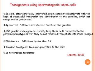 38
Transgenesis using spermatogonial stem cells
ES cells, after genetically intervened, are injected into blastocysts with the
hope of successful integration and contribution to the germline, which not
always can be guaranteed.
By contrast, SSCs are already constituents of the germline
SSC genetic and epigenetic stability keep these cells committed to the
germline phenotype so that they do not tend to differentiate into other lineages
Efficiency is 5-10 times better than ES
Transmit transgenes from one generation to the next
Do not produce teratomas
(Aponte, 2015)
 