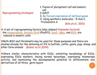 Both MSC and fibroblasts may be used for these purposes and there are
studies already for the obtaining of iPS to buffalo, cattle, goats, pigs, sheep, and
other farm animals (Kumar et al.,2014)
Share similar characteristics with ESCs: exhibiting morphology of ESCs,
expressing ESCs markers, having normal karyotype, expressing telomerase
activity, and maintaining the developmental potential to differentiate into
derivatives of all three germ layers
1. Fusion of pluripotent cell and somatic
cell
2.SCNT
3. By forced expression of defined genes
4. Using synthetic molecules-- 5-Aza C,
Trichostatin A
Reprogramming strategies
7
 A set of reprogramming factors (also dubbed Yamanaka factors)
the transcription factors Oct4 (Pou5f1), Sox2, cMyc, and Klf4, are
induced in somatic cells
(Kim et al., 2011)
 