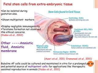 Fetal stem cells from extra-embryonic tissue
Other ----Amniotic
fluid, Amniotic
membrane
(Azari et al., 2011; Cremonesi et al., 2011)
Can be isolated during
gestation also.
Shown multipotent markers
Display negligible immunogenicity
Teratoma formation not observed
No ethical concerns.
(Yadav et al., 2012)
Bubaline AF cells could be cultured and maintained in vitro for a prolonged period
and potential source of multipotent cells for applications like therapeutic
assisted reproduction in animals (Yadav et al., 2011)
8
 