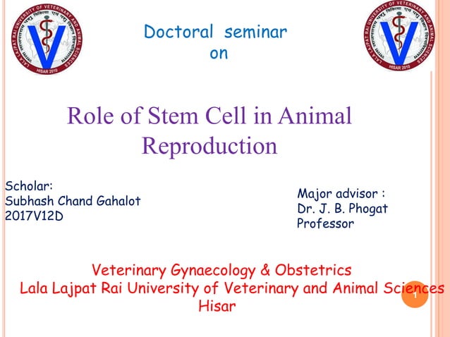 Stem Cell Ppt Subhash