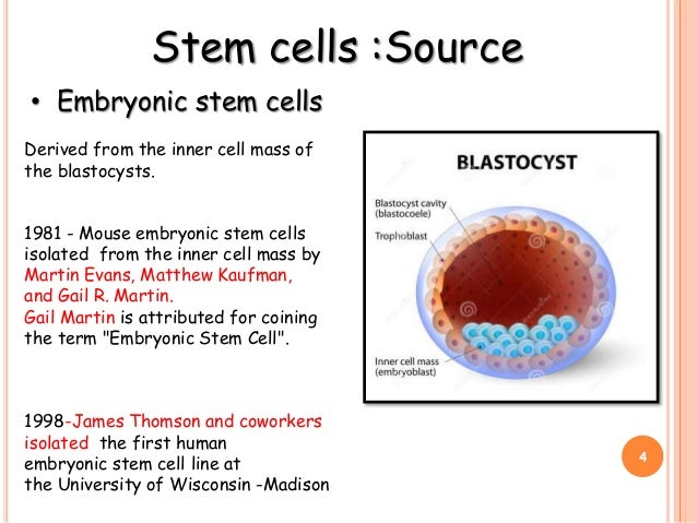 stem-cell-ppt-subhash