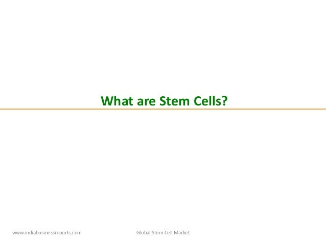 Global Stem Cell Market Brief Overview