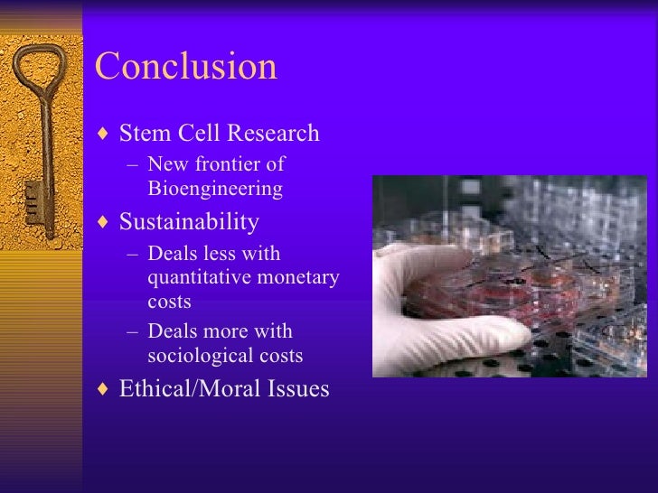 conclusion of stem cell research