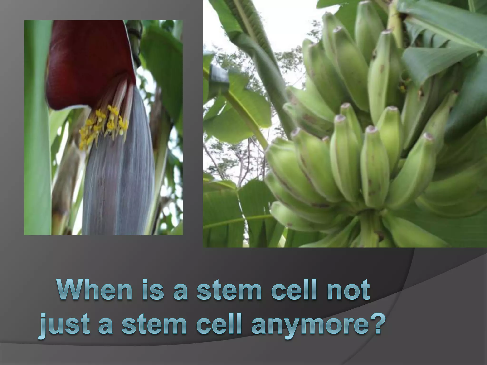 Digital storytelling/Slidecast/SlideShare/Voicesha...    