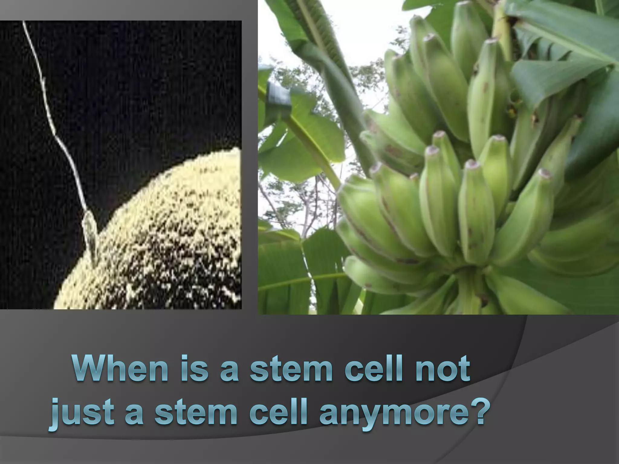 Digital storytelling/Slidecast/SlideShare/Voicesha...    