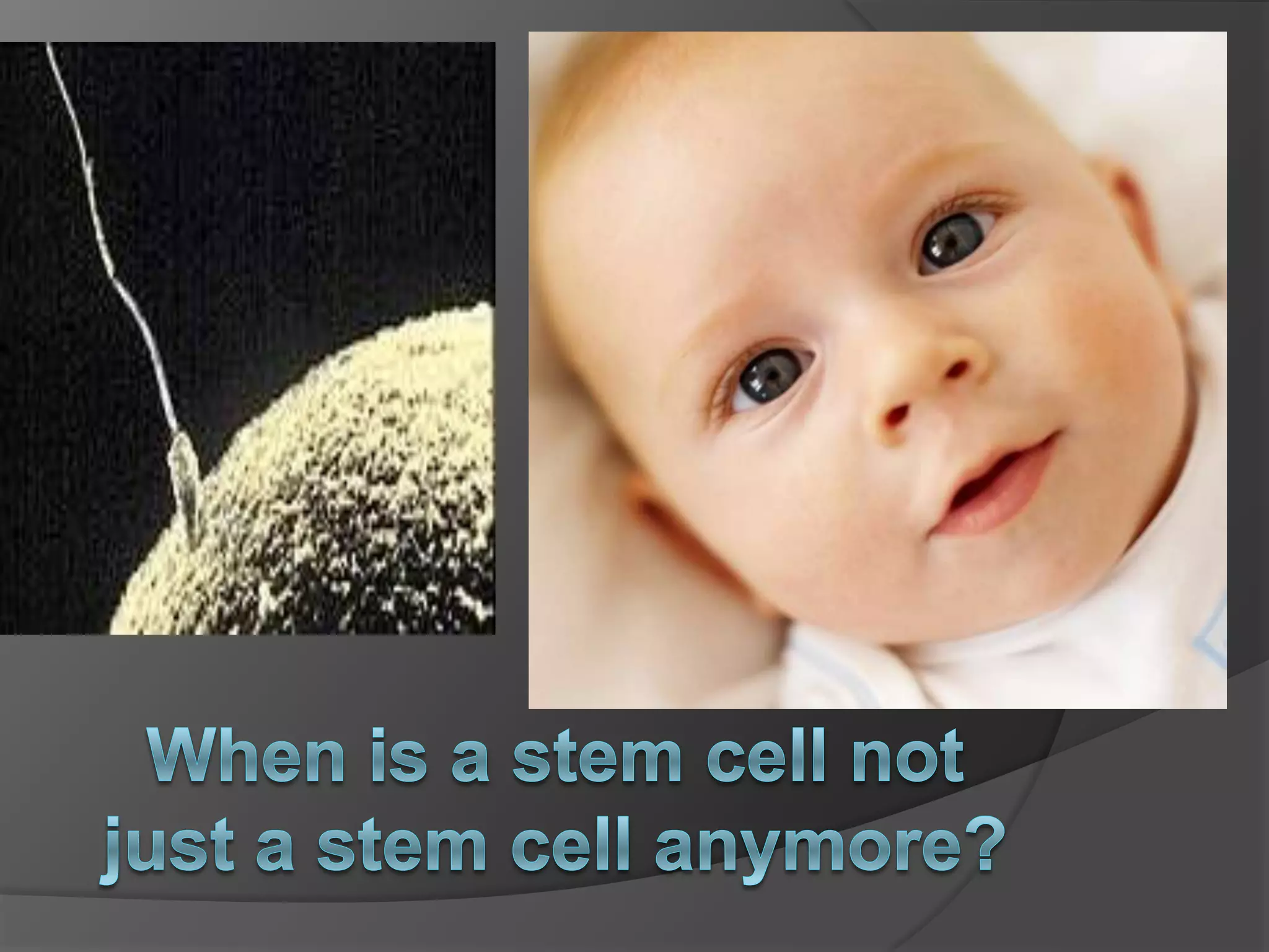 Digital storytelling/Slidecast/SlideShare/Voicesha...    