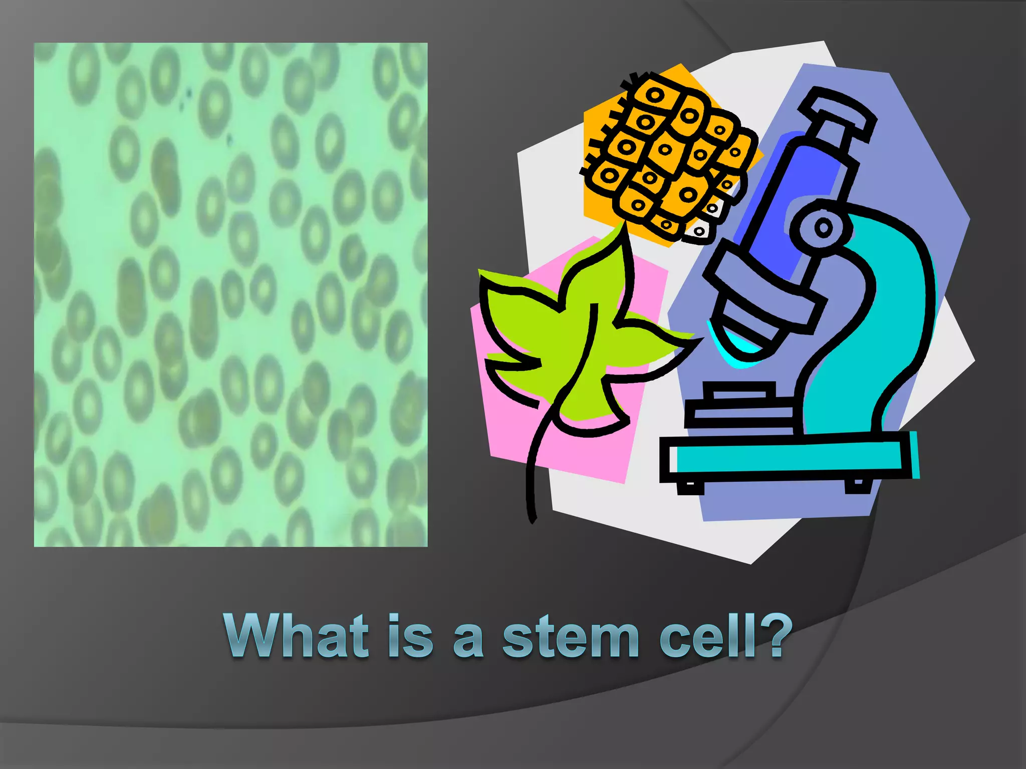 Digital storytelling/Slidecast/SlideShare/Voicesha...    