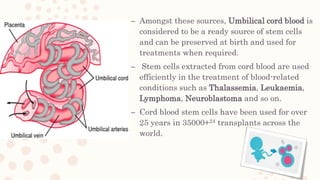 Stem cell preservation life cell