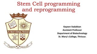 Stem cell programming | PPTX