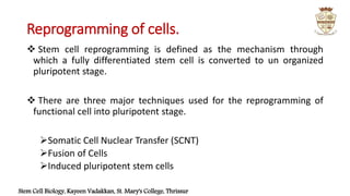Stem cell programming | PPTX