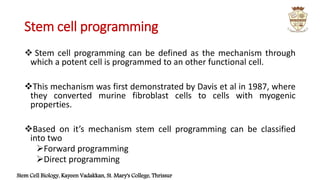 Stem cell programming | PPTX