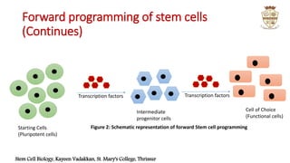 Stem cell programming | PPTX