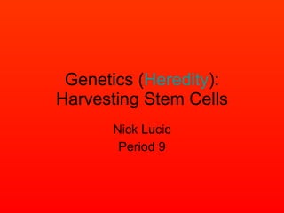 Genetics ( Heredity ): Harvesting Stem Cells Nick Lucic Period 9 