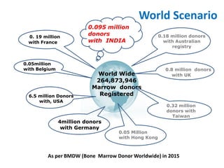 Stem cell registry | PDF