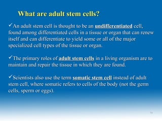 An adult stem cell is thought to be anAn adult stem cell is thought to be an undifferentiatedundifferentiated cell,cell,
found among differentiated cells in a tissue or organ that can renewfound among differentiated cells in a tissue or organ that can renew
itself and can differentiate to yield some or all of the majoritself and can differentiate to yield some or all of the major
specialized cell types of the tissue or organ.specialized cell types of the tissue or organ.
The primary roles ofThe primary roles of adult stem cellsadult stem cells in a living organism are toin a living organism are to
maintain and repair the tissue in which they are found.maintain and repair the tissue in which they are found.
Scientists also use the termScientists also use the term somatic stem cellsomatic stem cell instead of adultinstead of adult
stem cell, where somatic refers to cells of the body (not the germstem cell, where somatic refers to cells of the body (not the germ
cells, sperm or eggs).cells, sperm or eggs).
What are adult stem cells?What are adult stem cells?
1919
 
