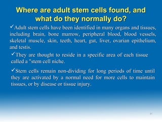 Where are adult stem cells found, andWhere are adult stem cells found, and
what do they normally do?what do they normally do?
Adult stem cells have been identified in many organs and tissues,Adult stem cells have been identified in many organs and tissues,
including brain, bone marrow, peripheral blood, blood vessels,including brain, bone marrow, peripheral blood, blood vessels,
skeletal muscle, skin, teeth, heart, gut, liver, ovarian epithelium,skeletal muscle, skin, teeth, heart, gut, liver, ovarian epithelium,
and testis.and testis.
They are thought to reside in a specific area of each tissueThey are thought to reside in a specific area of each tissue
called a "stem cell niche.called a "stem cell niche.
Stem cells remain non-dividing for long periods of time untilStem cells remain non-dividing for long periods of time until
they are activated by a normal need for more cells to maintainthey are activated by a normal need for more cells to maintain
tissues, or by disease or tissue injury.tissues, or by disease or tissue injury.
2121
 